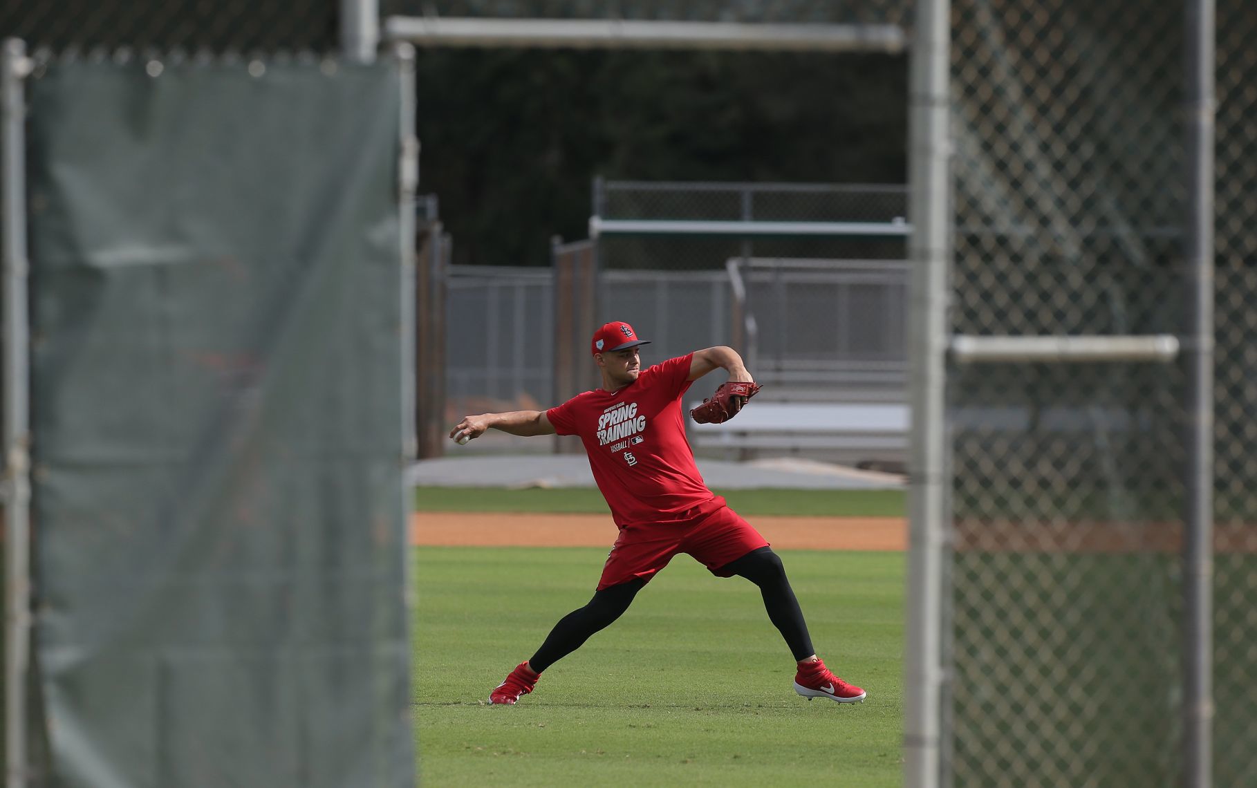 Cardinals spring training